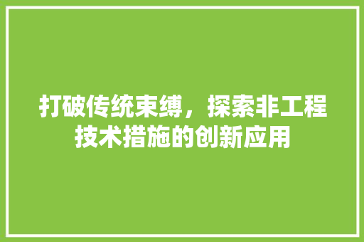 打破传统束缚，探索非工程技术措施的创新应用 中式风格装饰
