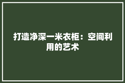 打造净深一米衣柜：空间利用的艺术 室内设计