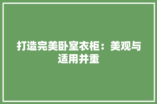 打造完美卧室衣柜：美观与适用并重 室内设计