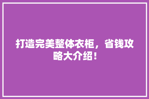 打造完美整体衣柜，省钱攻略大介绍！