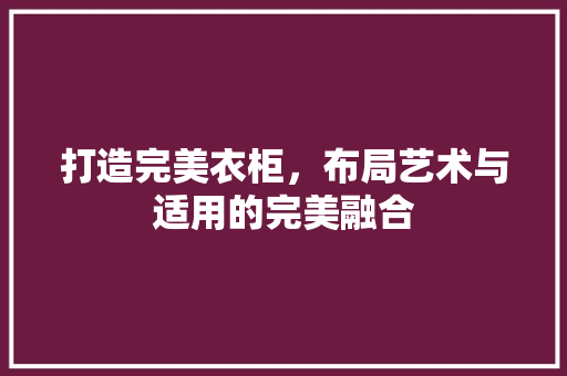 打造完美衣柜，布局艺术与适用的完美融合 室内设计
