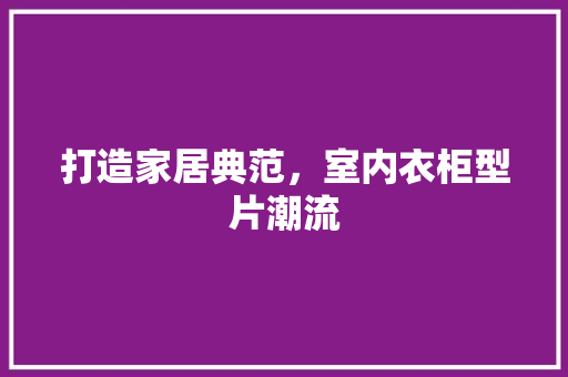 打造家居典范，室内衣柜型片潮流 室内设计