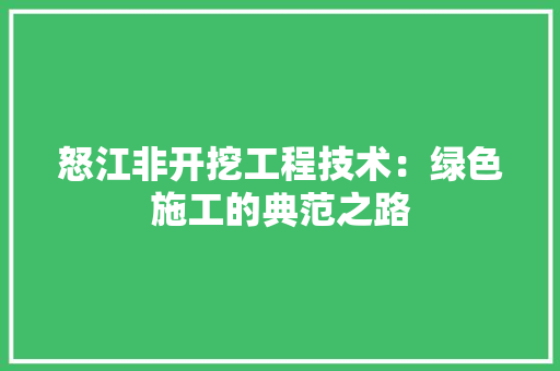 怒江非开挖工程技术：绿色施工的典范之路