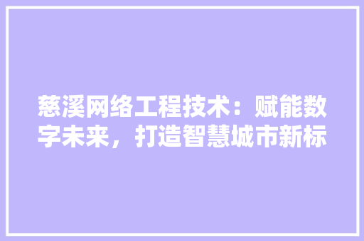 慈溪网络工程技术：赋能数字未来，打造智慧城市新标杆