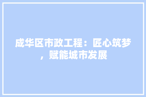 成华区市政工程：匠心筑梦，赋能城市发展 中式风格装饰