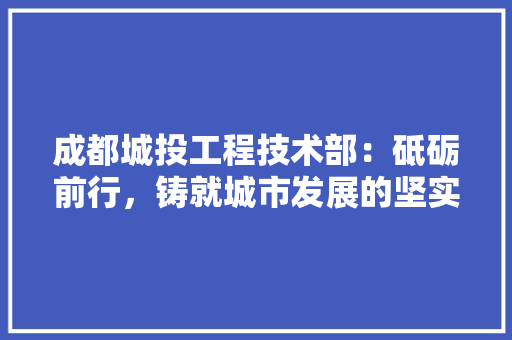 成都城投工程技术部：砥砺前行，铸就城市发展的坚实基石 中式风格装饰
