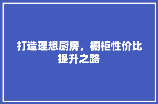 打造理想厨房，橱柜性价比提升之路 室内设计