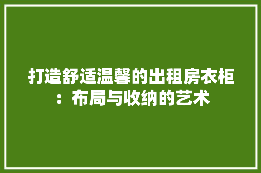 打造舒适温馨的出租房衣柜：布局与收纳的艺术 室内设计