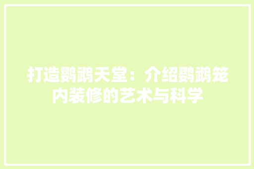 打造鹦鹉天堂：介绍鹦鹉笼内装修的艺术与科学 室内设计