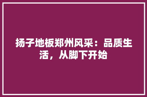 扬子地板郑州风采：品质生活，从脚下开始 室内设计