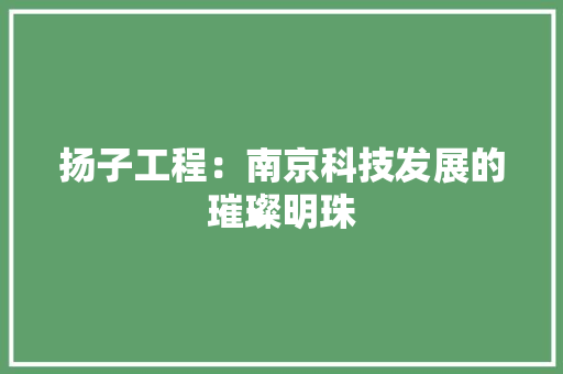 扬子工程：南京科技发展的璀璨明珠 室内设计
