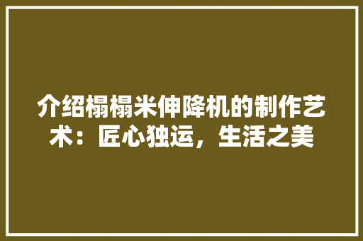 介绍榻榻米伸降机的制作艺术：匠心独运，生活之美 家居装修