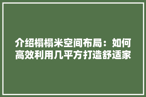 介绍榻榻米空间布局：如何高效利用几平方打造舒适家居环境 家居装修