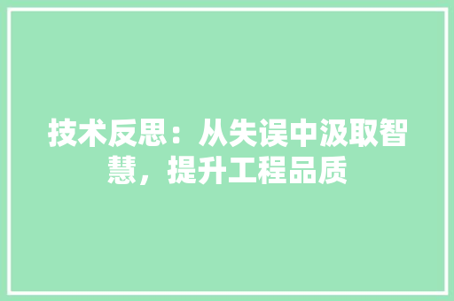 技术反思：从失误中汲取智慧，提升工程品质 室内设计