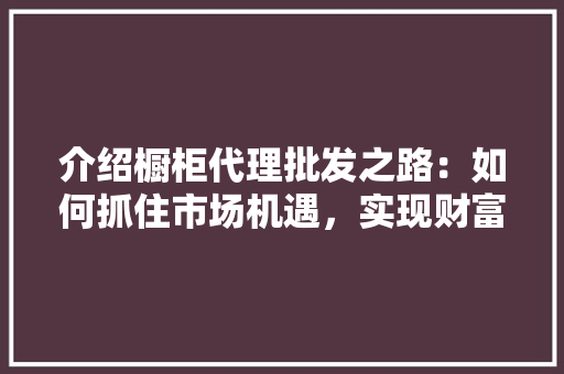 介绍橱柜代理批发之路：如何抓住市场机遇，实现财富增长 家居装修