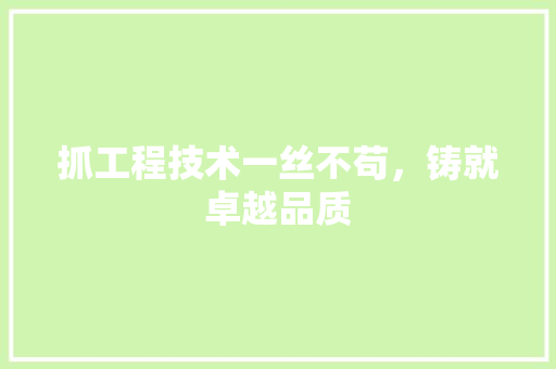 抓工程技术一丝不苟，铸就卓越品质 室内设计