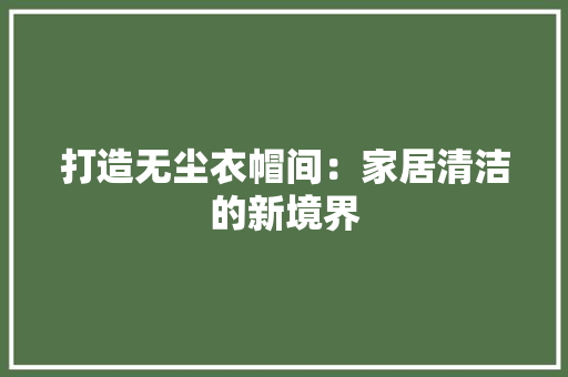 打造无尘衣帽间：家居清洁的新境界 室内设计