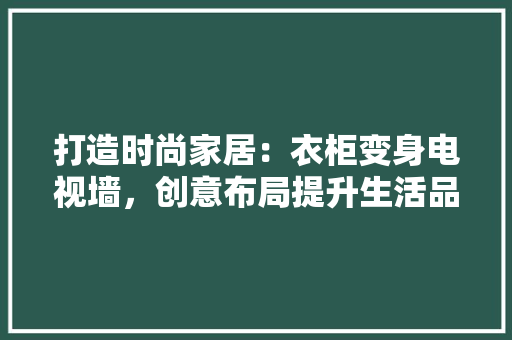 打造时尚家居：衣柜变身电视墙，创意布局提升生活品质