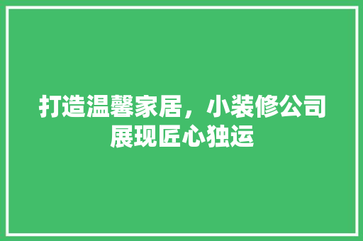 打造温馨家居，小装修公司展现匠心独运 室内设计