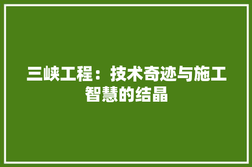 三峡工程：技术奇迹与施工智慧的结晶 现代风格装饰