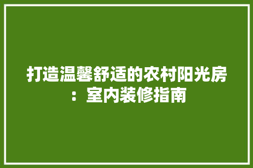 打造温馨舒适的农村阳光房：室内装修指南 室内设计