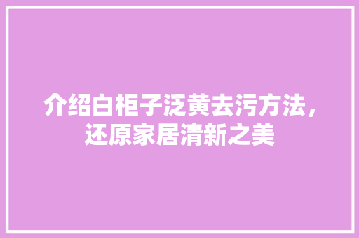 介绍白柜子泛黄去污方法，还原家居清新之美 家居装修
