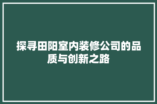探寻田阳室内装修公司的品质与创新之路 室内设计