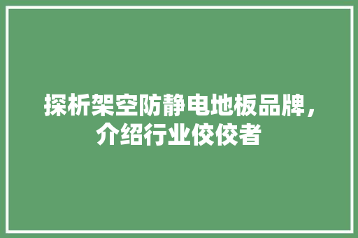探析架空防静电地板品牌，介绍行业佼佼者 室内设计