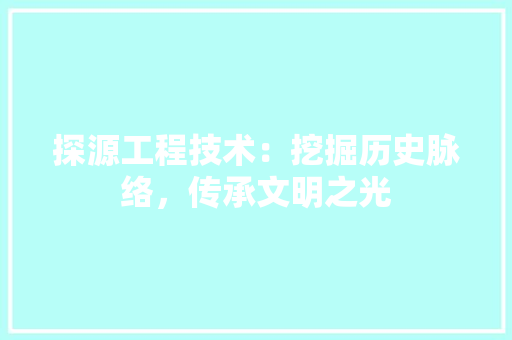 探源工程技术：挖掘历史脉络，传承文明之光 室内设计
