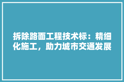 拆除路面工程技术标：精细化施工，助力城市交通发展 室内设计