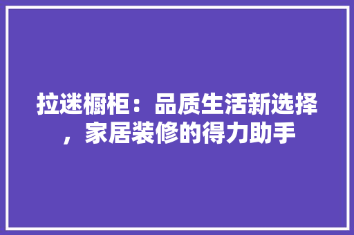 拉迷橱柜：品质生活新选择，家居装修的得力助手 室内设计