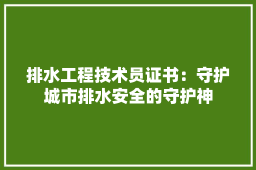 排水工程技术员证书：守护城市排水安全的守护神 室内设计