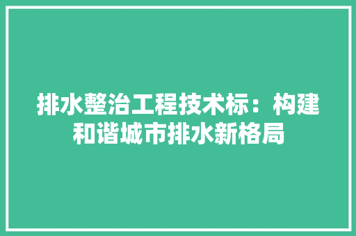 排水整治工程技术标：构建和谐城市排水新格局
