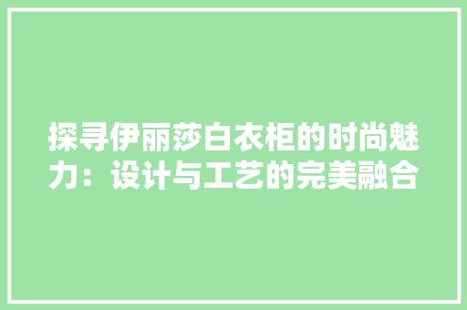 探寻伊丽莎白衣柜的时尚魅力：设计与工艺的完美融合 室内设计