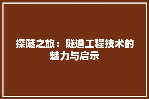 探隧之旅：隧道工程技术的魅力与启示 室内设计
