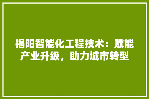 揭阳智能化工程技术：赋能产业升级，助力城市转型 室内设计