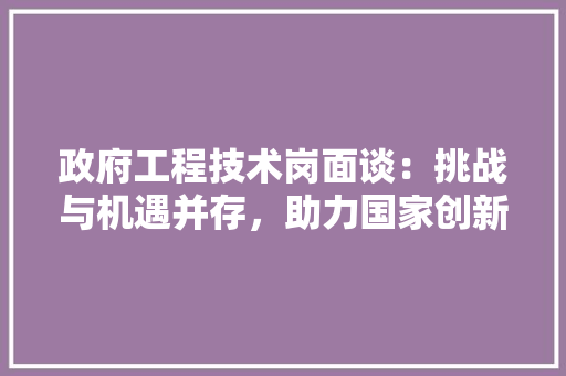 政府工程技术岗面谈：挑战与机遇并存，助力国家创新发展 室内设计