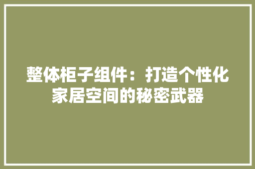整体柜子组件：打造个性化家居空间的秘密武器 室内设计