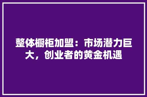整体橱柜加盟：市场潜力巨大，创业者的黄金机遇 室内设计
