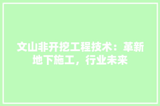 文山非开挖工程技术：革新地下施工，行业未来 室内设计