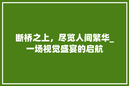 断桥之上，尽览人间繁华_一场视觉盛宴的启航 室内设计