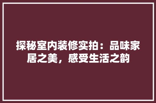 探秘室内装修实拍：品味家居之美，感受生活之韵 室内设计