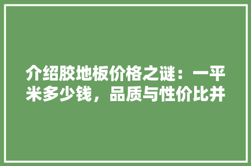 介绍胶地板价格之谜：一平米多少钱，品质与性价比并存 家居装修