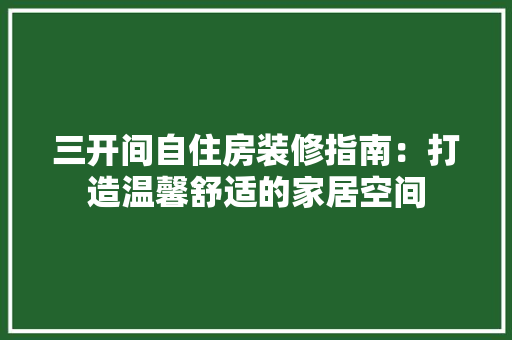 三开间自住房装修指南：打造温馨舒适的家居空间 现代风格装饰