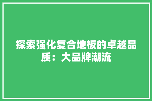 探索强化复合地板的卓越品质：大品牌潮流 室内设计
