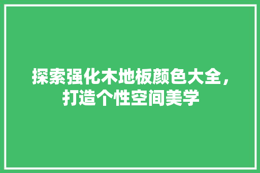 探索强化木地板颜色大全，打造个性空间美学 室内设计