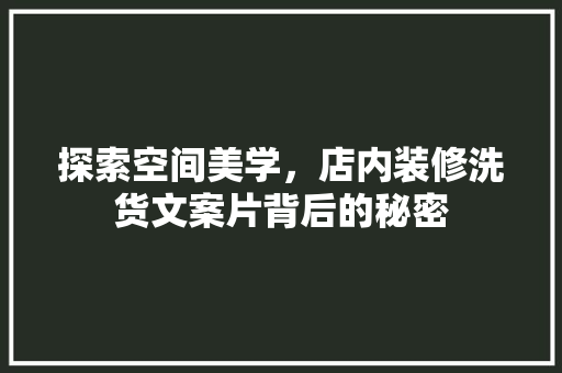 探索空间美学，店内装修洗货文案片背后的秘密 室内设计