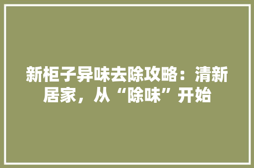 新柜子异味去除攻略：清新居家，从“除味”开始 室内设计