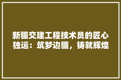 新疆交建工程技术员的匠心独运：筑梦边疆，铸就辉煌 室内设计