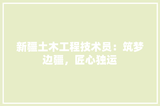 新疆土木工程技术员：筑梦边疆，匠心独运 室内设计